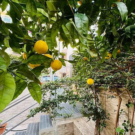 Apartment Ferdirisa Vesuvio Home&garden